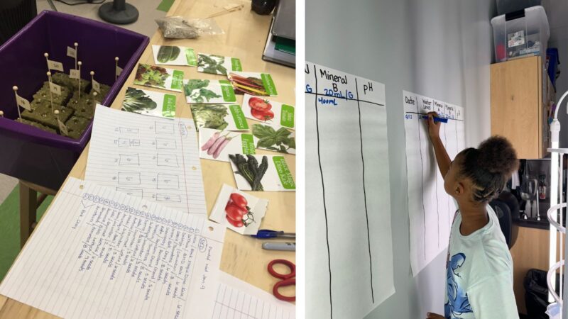 Green Bronx Machine learning Learning about gardening with Green Bronx machine curriculum