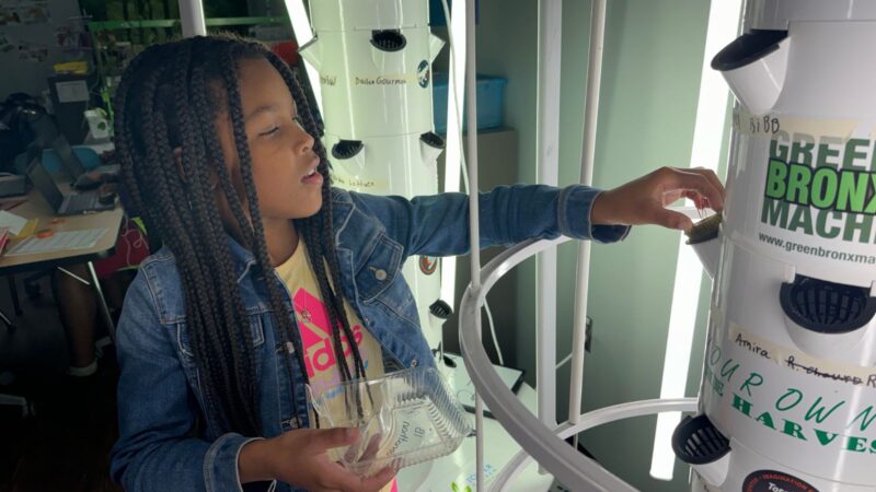 Green Bronx Machine Tower Garden Green Bronx machine planting