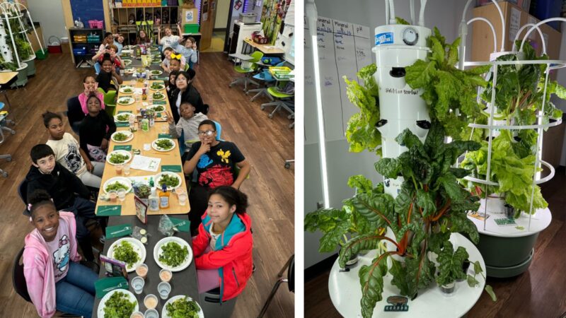 Green Bronx Machine Harvest Green Bronx machine feast