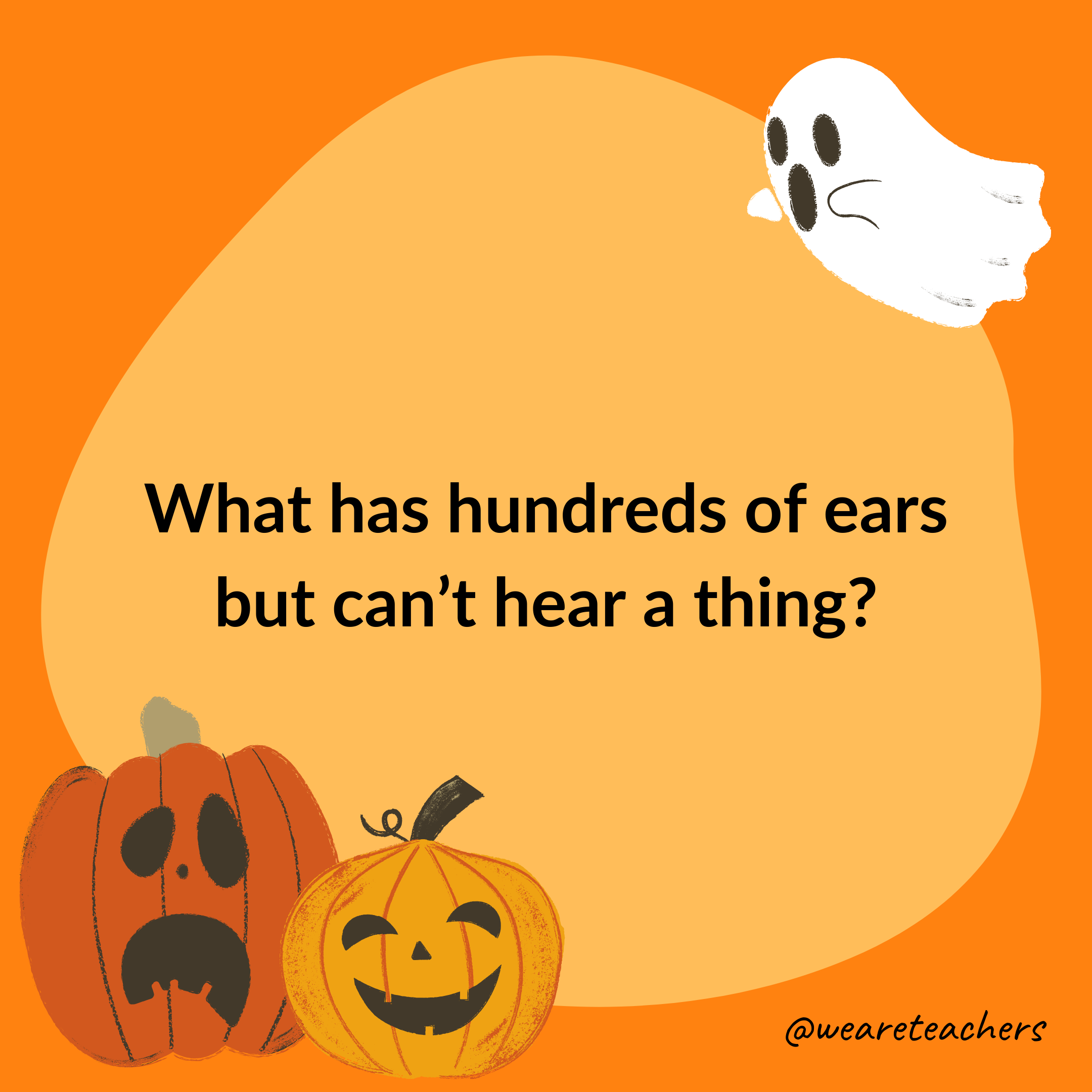 What has hundreds of ears but can’t hear a thing?