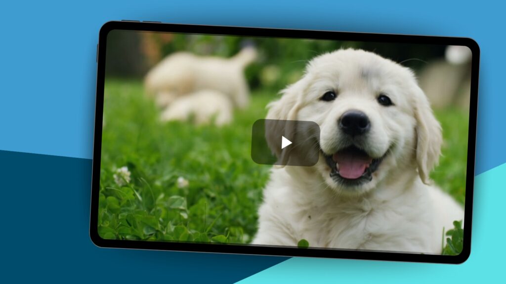 Awesome Free Classroom Videos With Lesson Plans