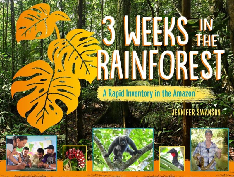3 Weeks in the Rainforest 3 Weeks in the Rainforest book cover