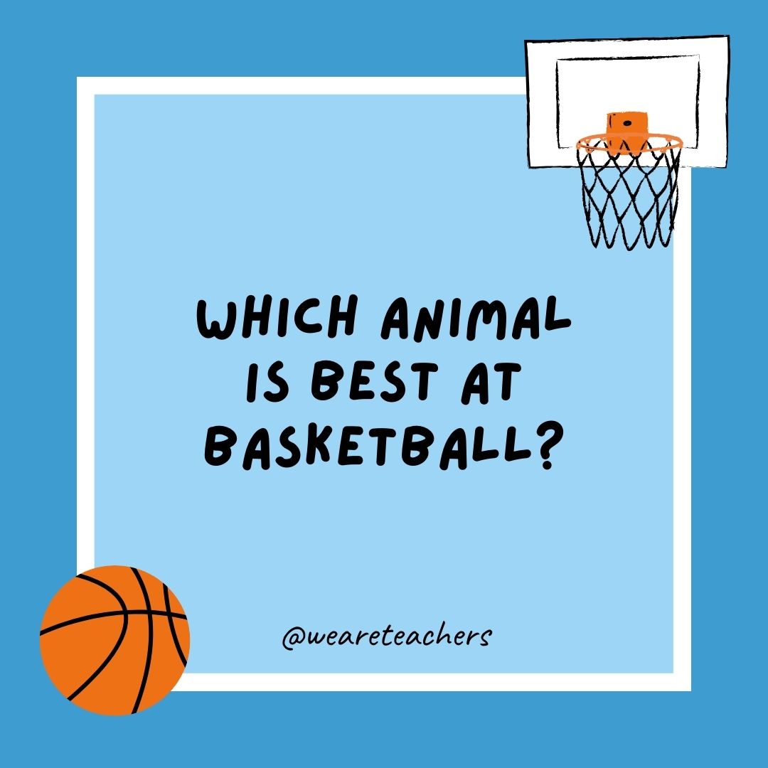 basketball jokes example