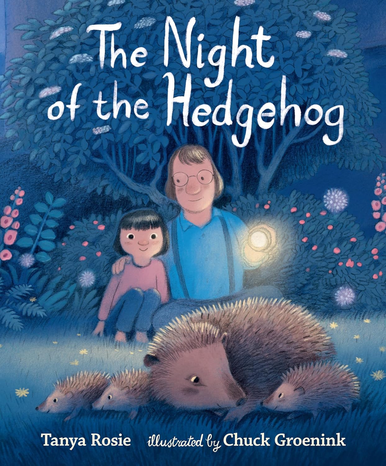 The Night of the Hedgehog book cover