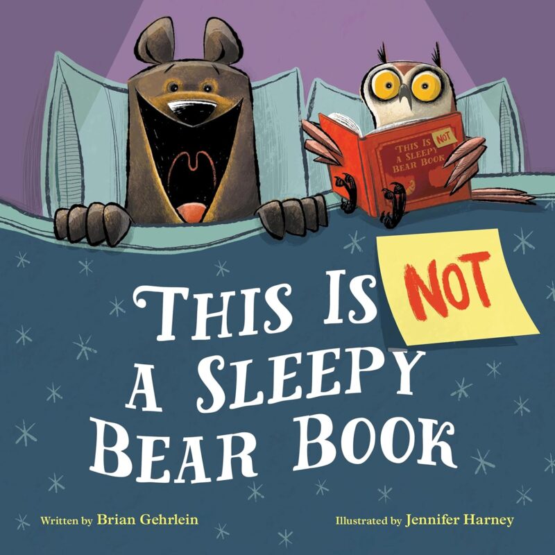 This is Not a Sleepy Bear Book book cover