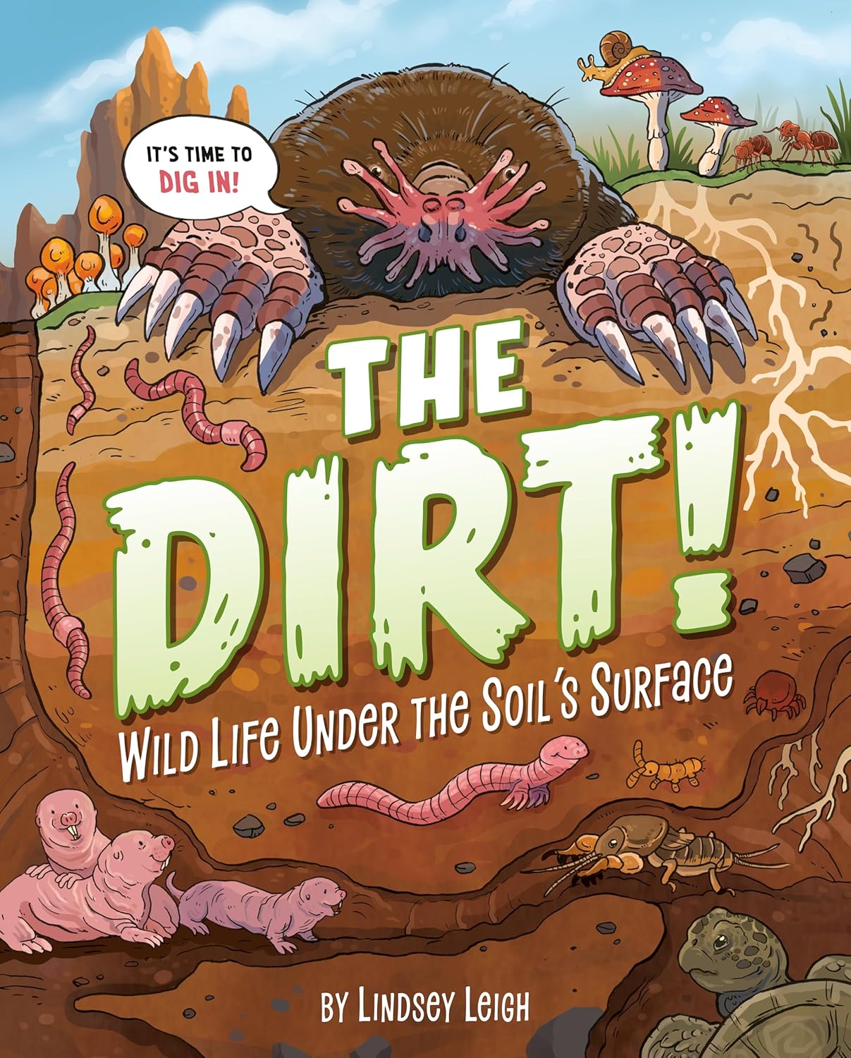 The Dirt! book cover