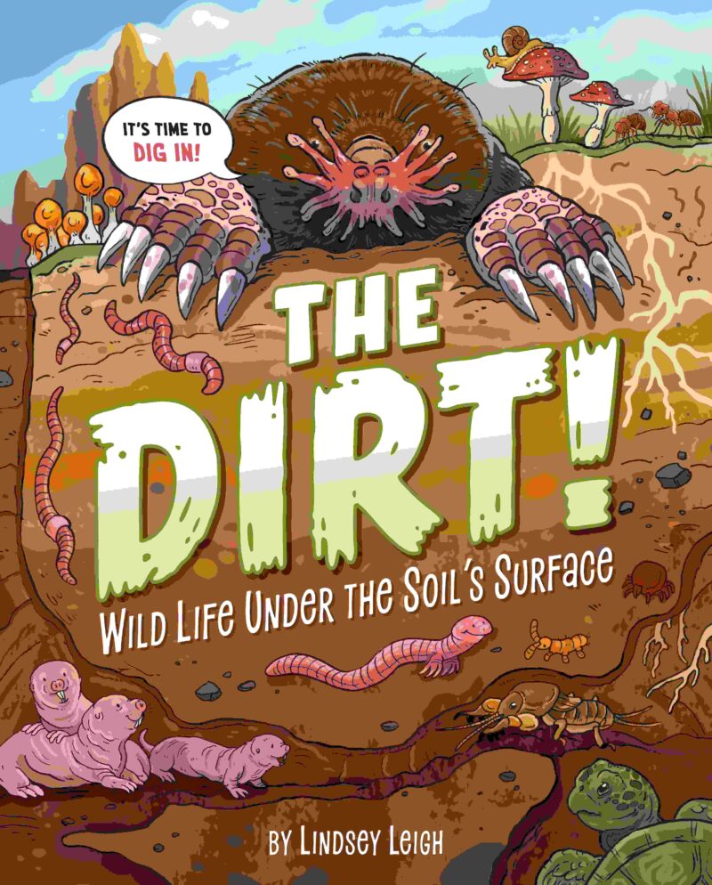 The Dirt! The Dirt! book cover