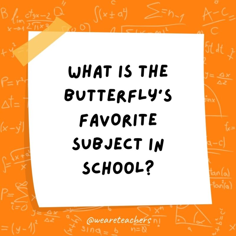 What is the butterfly’s favorite subject in school? Mothematics. What is the butterfly’s favorite subject in school? Mothematics.