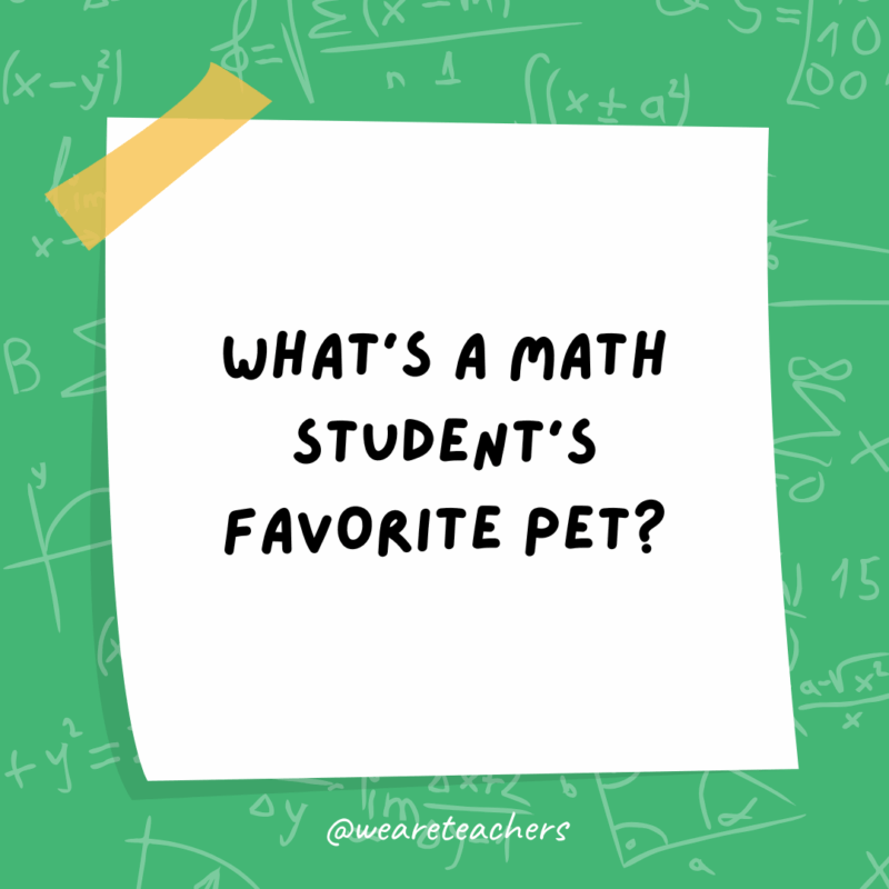 Math Jokes What’s a math student’s favorite pet?