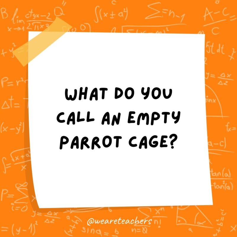 What do you call an empty parrot cage? A polygon. (A Polly gone.) What do you call an empty parrot cage? A polygon. (A Polly gone.)