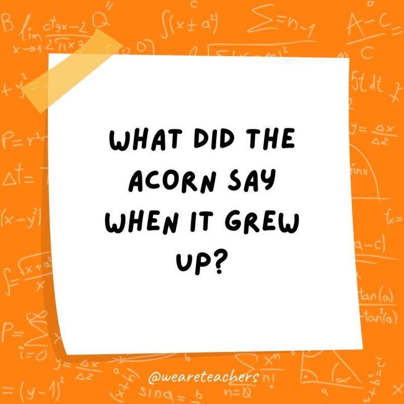 What did the acorn say when it grew up? Ge-om-e-try! (Gee, I’m a tree!)- math jokes What did the acorn say when it grew up? Ge-om-e-try! (Gee, I'm a tree!)- math jokes