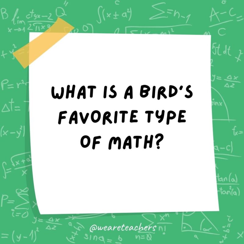 What is a bird’s favorite type of math? Owl-gebra. – math jokes What is a bird’s favorite type of math? Owl-gebra. - math jokes