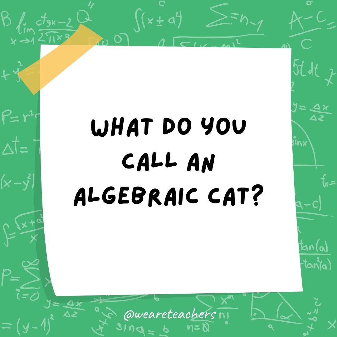 What do you call an algebraic cat? What do you call an algebraic cat?