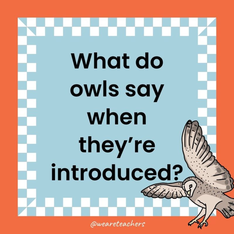 Owl Jokes for Kids a joke that states: What do owls say when they’re introduced?