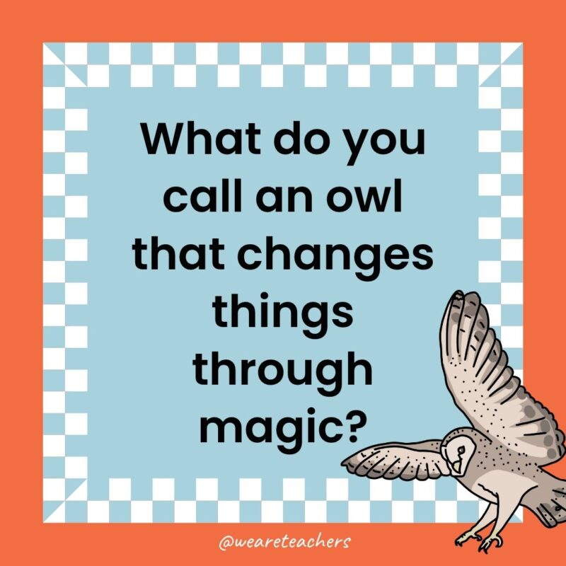 Owl Jokes for Kids a joke that states: What do you call an owl that changes things through magic?