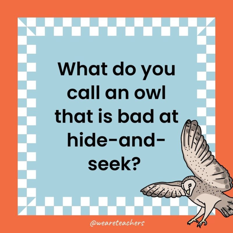 Owl Jokes for Kids a joke that states: What do you call an owl that is bad at hide-and-seek?