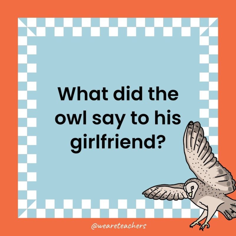 Owl Jokes for Kids a joke that states: What did the owl say to his girlfriend?