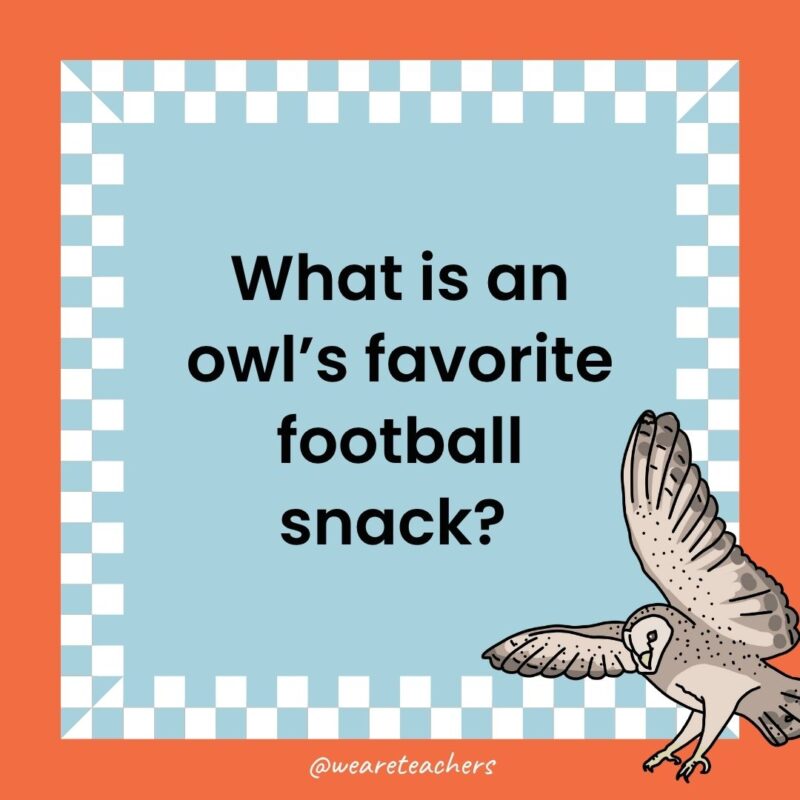 a joke that states: What is an owl’s favorite football snack?