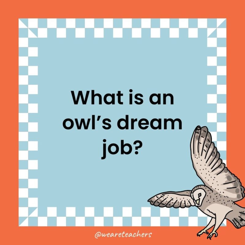 a joke that states: What is an owl’s dream job?