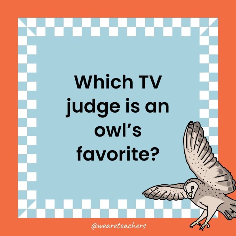 a joke that states: Which TV judge is an owl’s favorite?