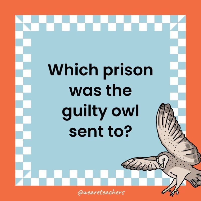 a joke that states: Which prison was the guilty owl sent to?