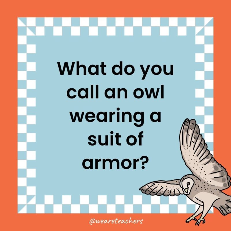 a joke that states: What do you call an owl wearing a suit of armor?