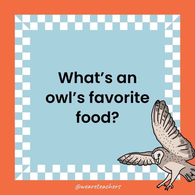 a joke that states: What’s an owl’s favorite food?