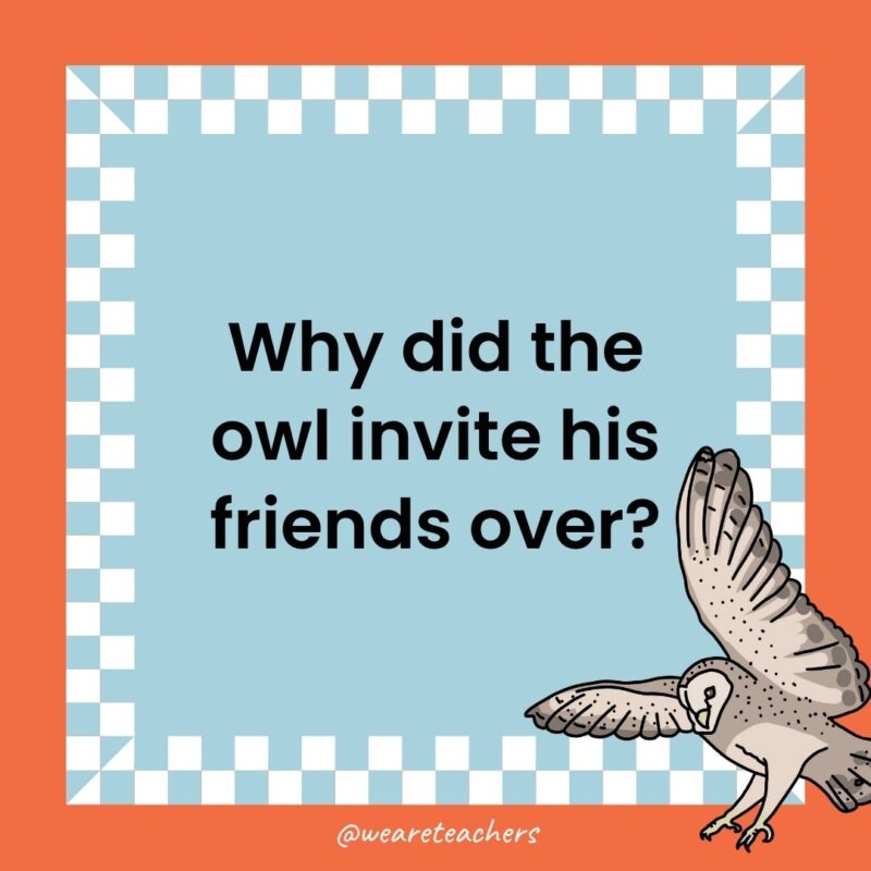 a joke that states: Why did the owl invite his friends over?