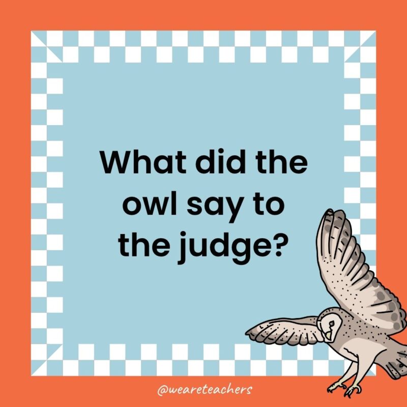 a joke that states: What did the owl say to the judge?