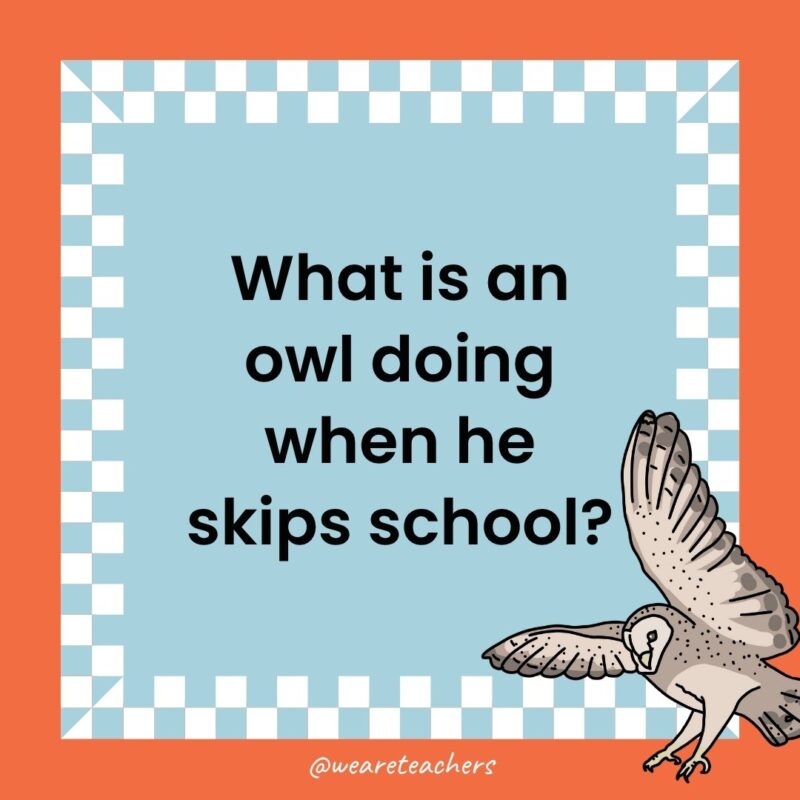 a joke that states: What is an owl doing when he skips school?