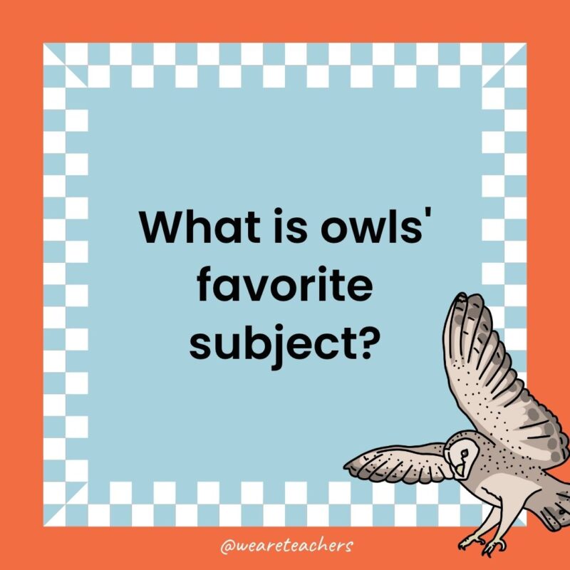 a joke that states: What is owls' favorite subject?