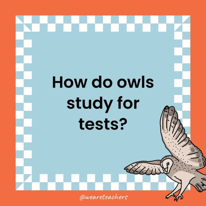 a joke that states: How do owls study for tests?
