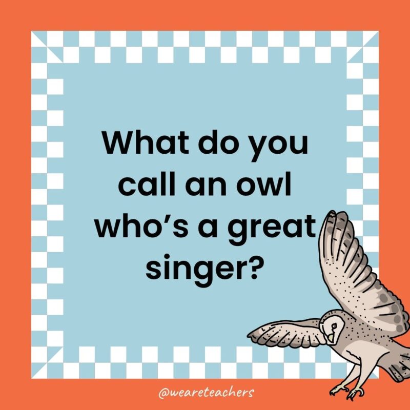 Owl Jokes for Kids a joke that states: What do you call an owl who’s a great singer?