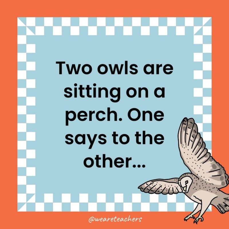 a joke that states: Two owls are sitting on a perch. One says to the other...