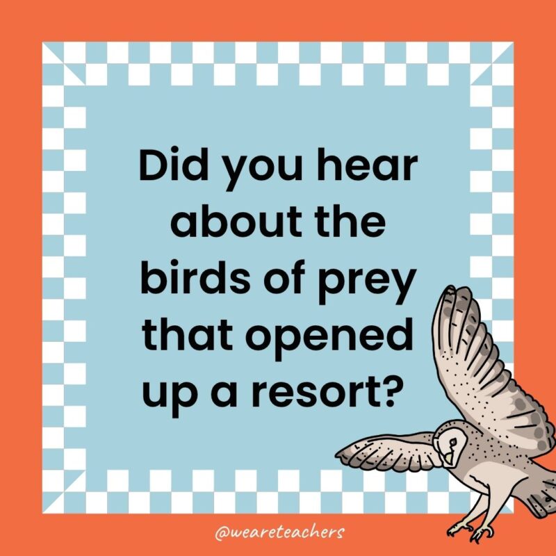 Owl Jokes for Kids a joke that states: Did you hear about the birds of prey that opened up a resort?