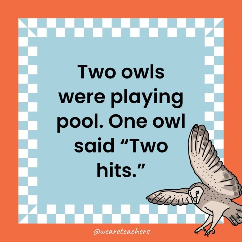 a joke that states: Two owls were playing pool. One owl said “Two hits.”