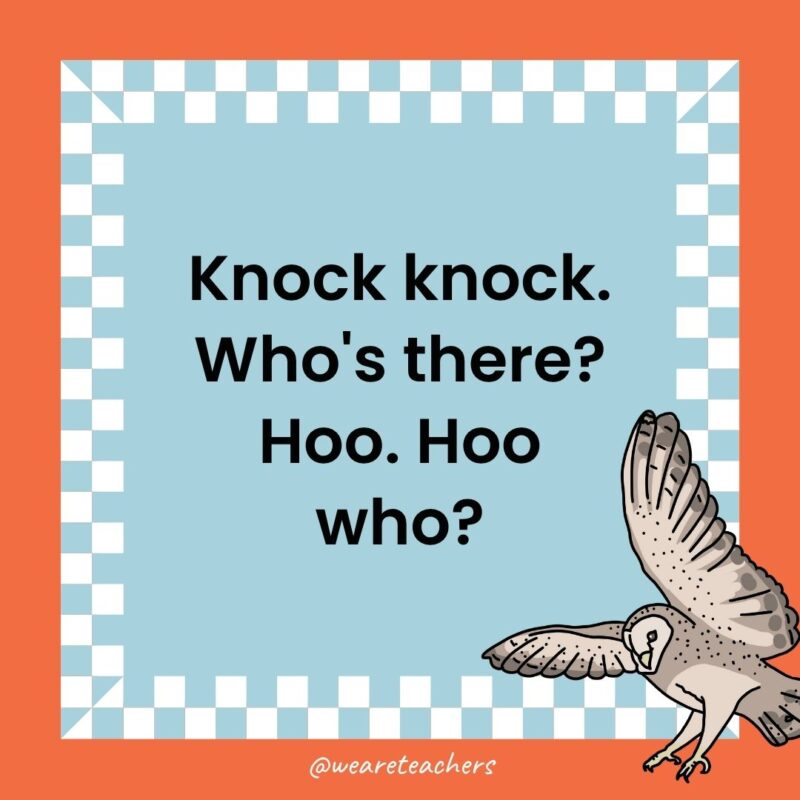 Owl Jokes for Kids a joke that states: Knock knock. Who's there? Hoo. Hoo who?