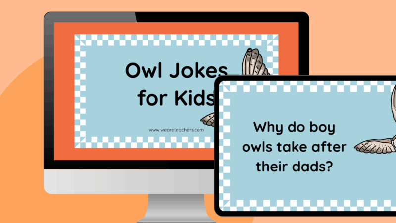Owl Jokes for Kids an image featuring owl jokes google slides