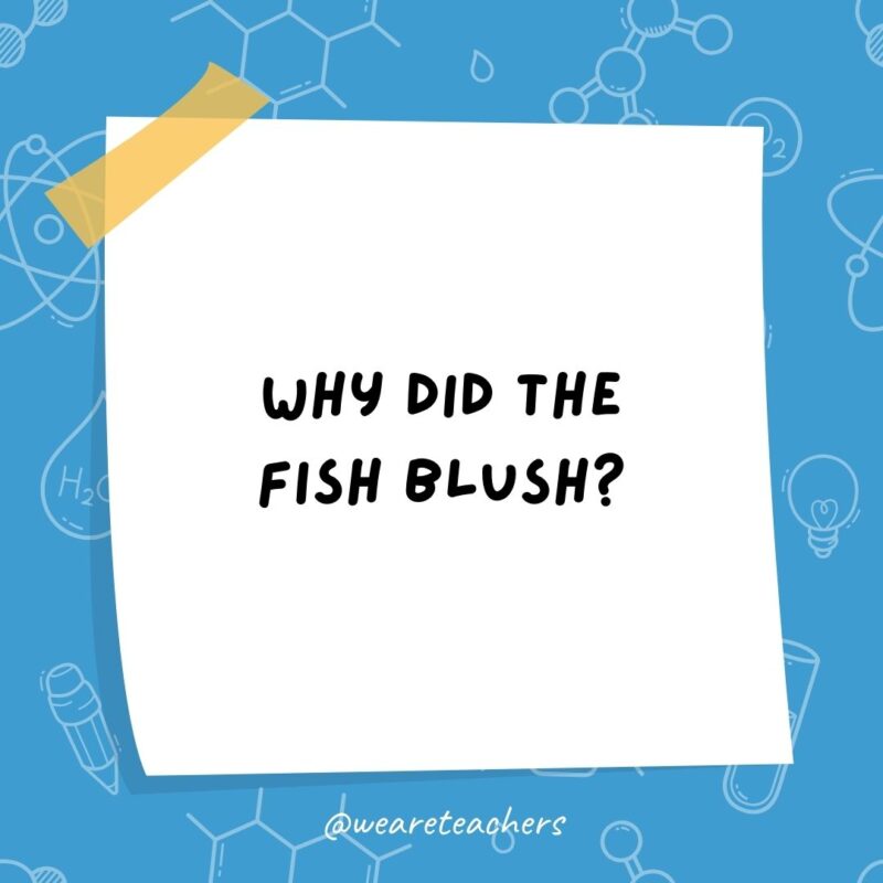 Why did the fish blush?