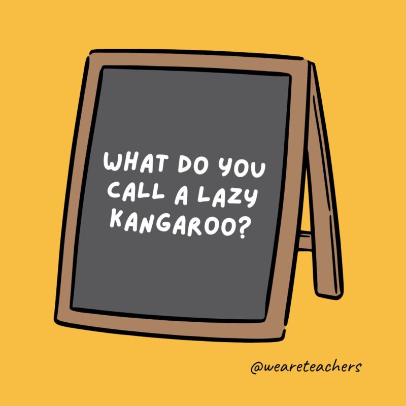an image of a chalkboard with the following joke for teens: What do you call a lazy kangaroo?