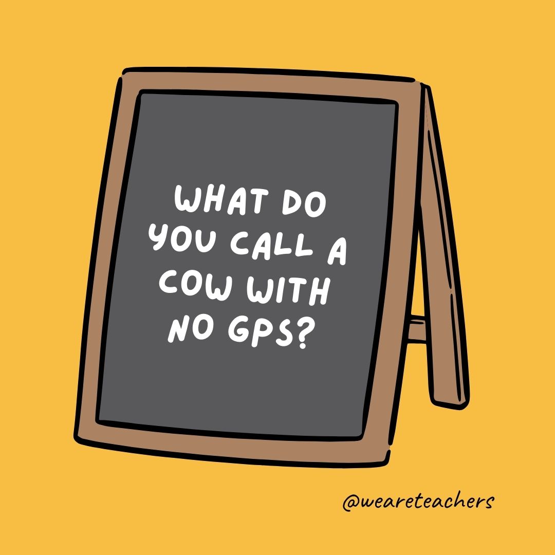 What do you call a cow with no GPS? Udderly lost.