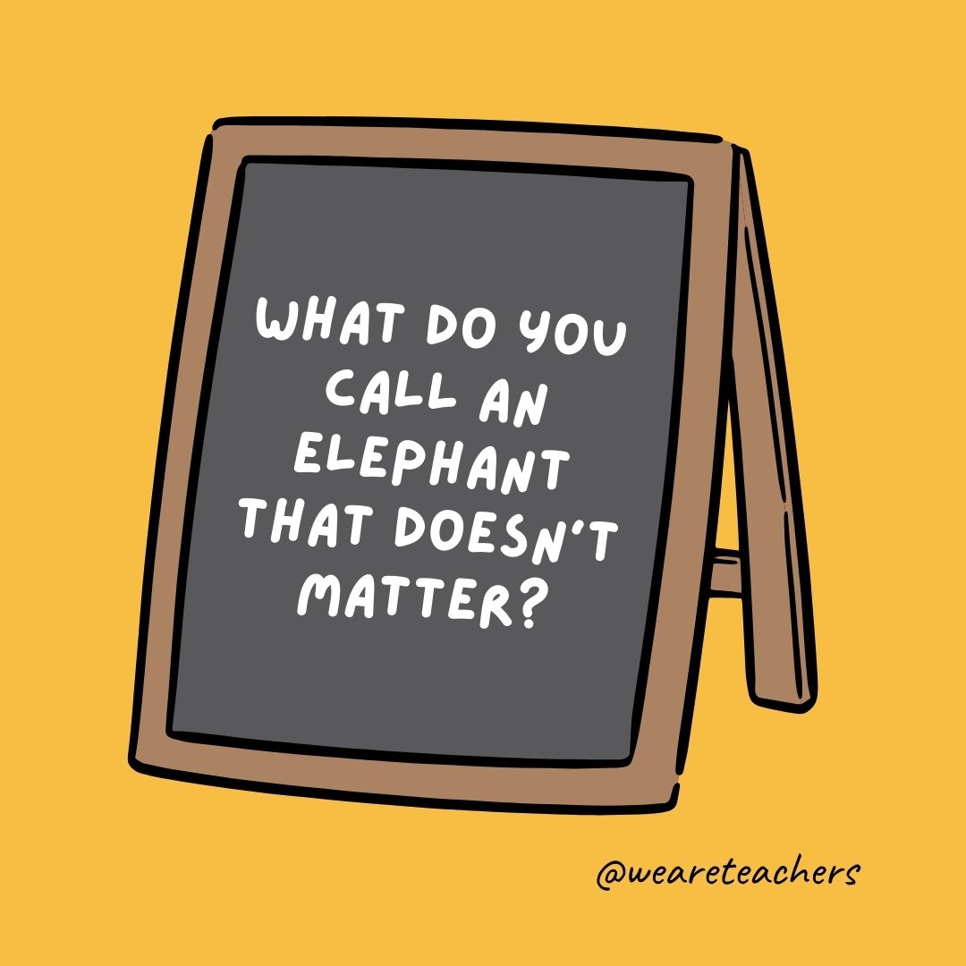 What do you call an elephant that doesn’t matter?