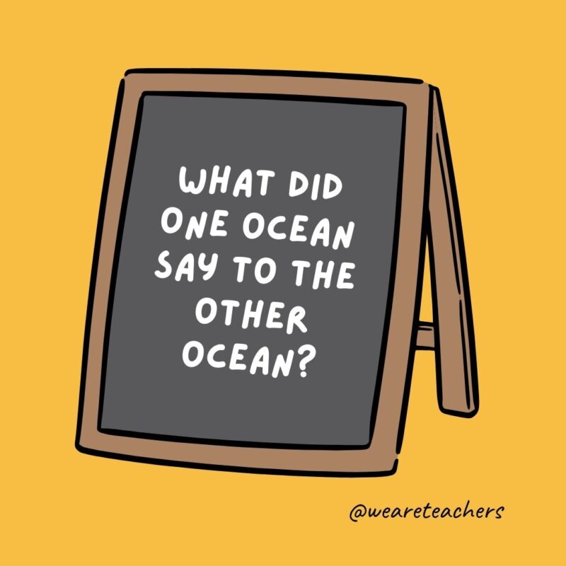 What did one ocean say to the other ocean?