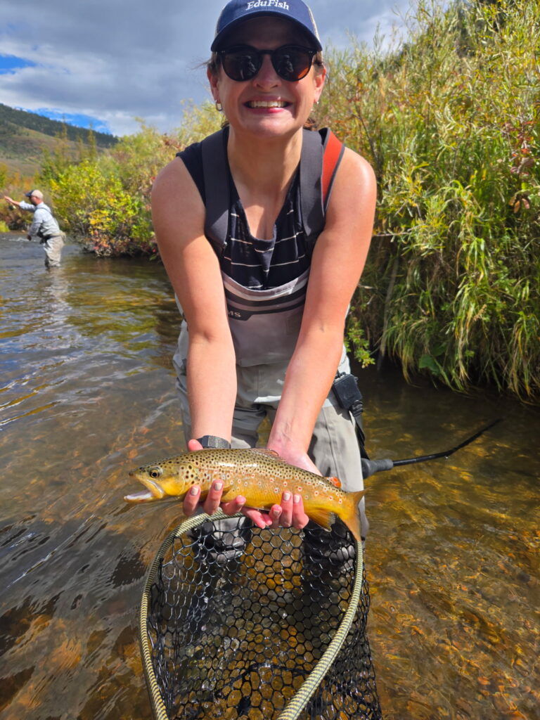 Houston, We Have A Problem* (Actually, no, Houston is one of a few places at least trying dramatic reform). – Eduwonk