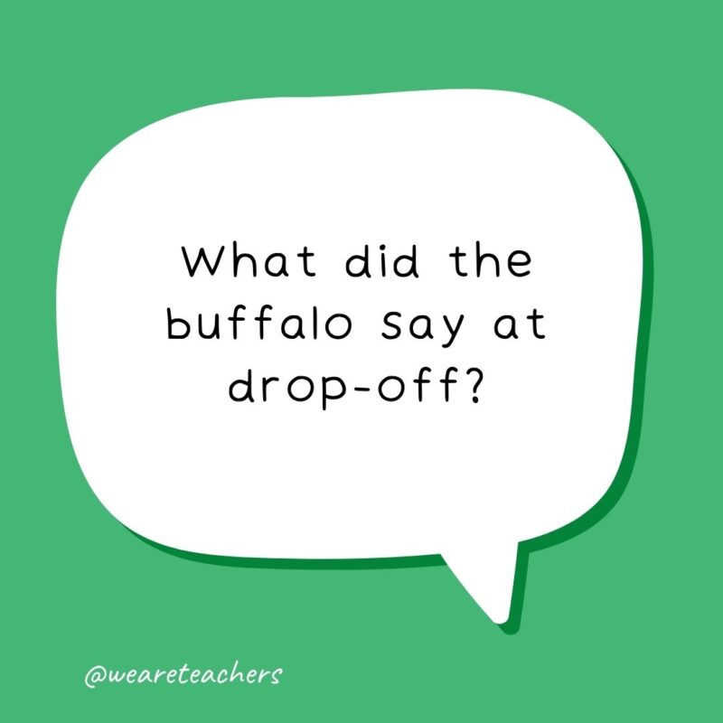 What did the buffalo say at drop-off? Bi-son.- school jokes for kids