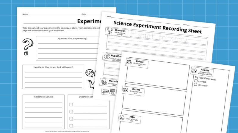 Science Experiment Worksheet an image of a few science experiment worksheets for students