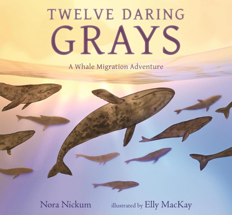 Twelve Daring Grays book cover