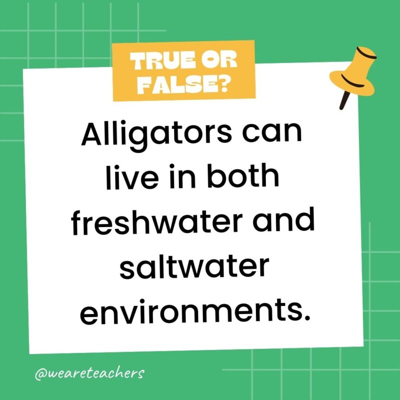 Alligators can live in both freshwater and saltwater environments.- true or false questions Alligators can live in both freshwater and saltwater environments.- true or false questions