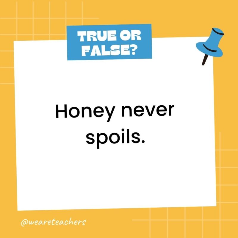 Honey never spoils.- true or false questions Honey never spoils.- true or false questions