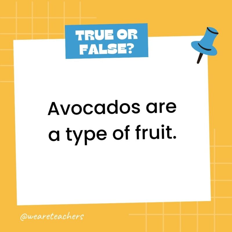 Avocados are a type of fruit.- true or false questions Avocados are a type of fruit.- true or false questions